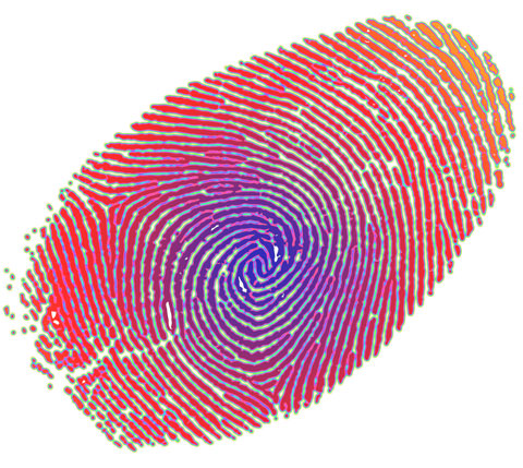 fingerprint